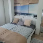 Private With Own Pool And Huge Garden, 150m To Longest Free At Balaton Appartement *