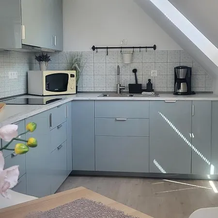 Private With Own Pool And Huge Garden, 150m To Longest Free At Balaton Zamardi