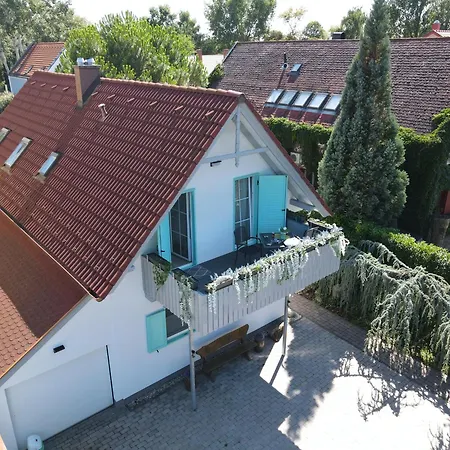 Private With Own Pool And Huge Garden, 150m To Longest Free At Balaton Lejlighed Zamárdi