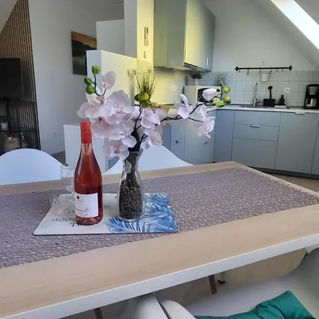 Apartment Private With Own Pool And Huge Garden, 150m To Longest Free At Balaton *