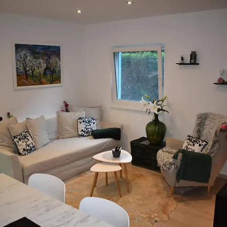 Private With Own Pool And Huge Garden, 150m To Longest Free At Balaton Apartment *