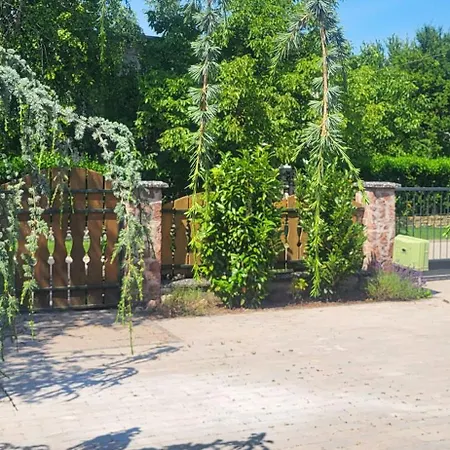 Private With Own Pool And Huge Garden, 150m To Longest Free At Balaton Apartment *
