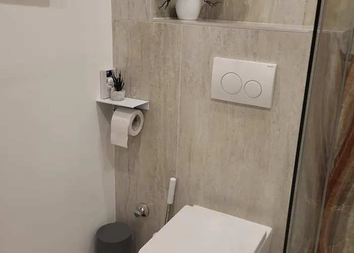 Private With Own Pool And Huge Garden, 150m To Longest Free At Balaton Appartement